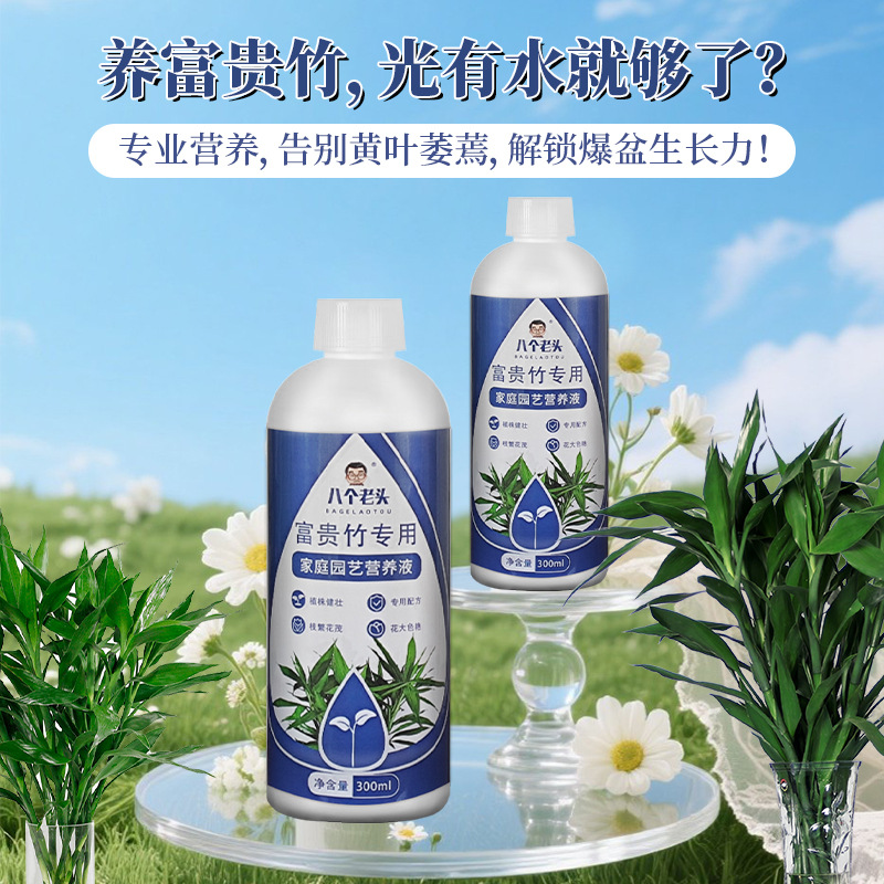 富贵竹专用营养液发财竹观音竹水培植物铜钱草绿植盆栽通用养花肥