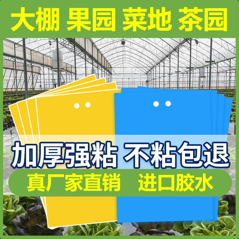 双面粘虫板诱虫板沾虫大棚黄板蓝色园艺黏虫贴虫果树防虫板大棚用